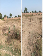 RAHMAT AGRO COMPANY-180920251